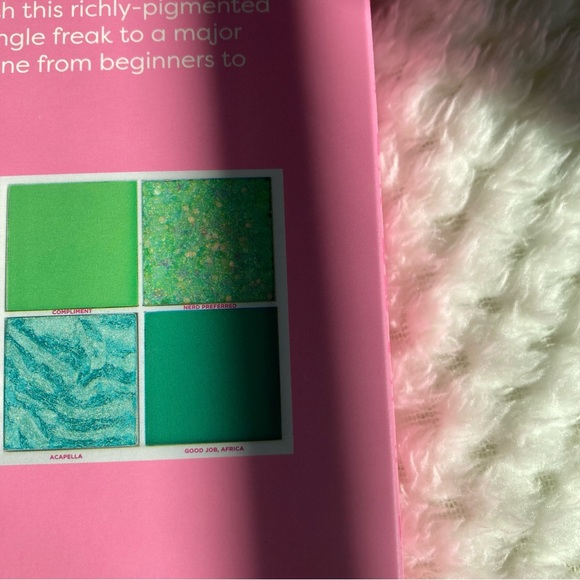 Official Meangirls Quad Eye Shadow Set - Picture 11 of 16